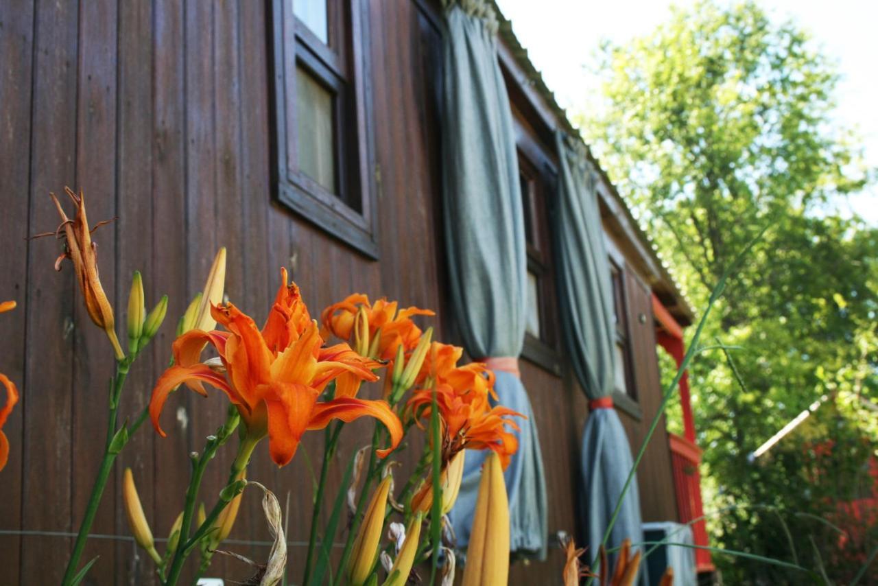 El Sendero - Gueiraldes B&B ซานอันโตนิโอเดอาเรโก ภายนอก รูปภาพ
